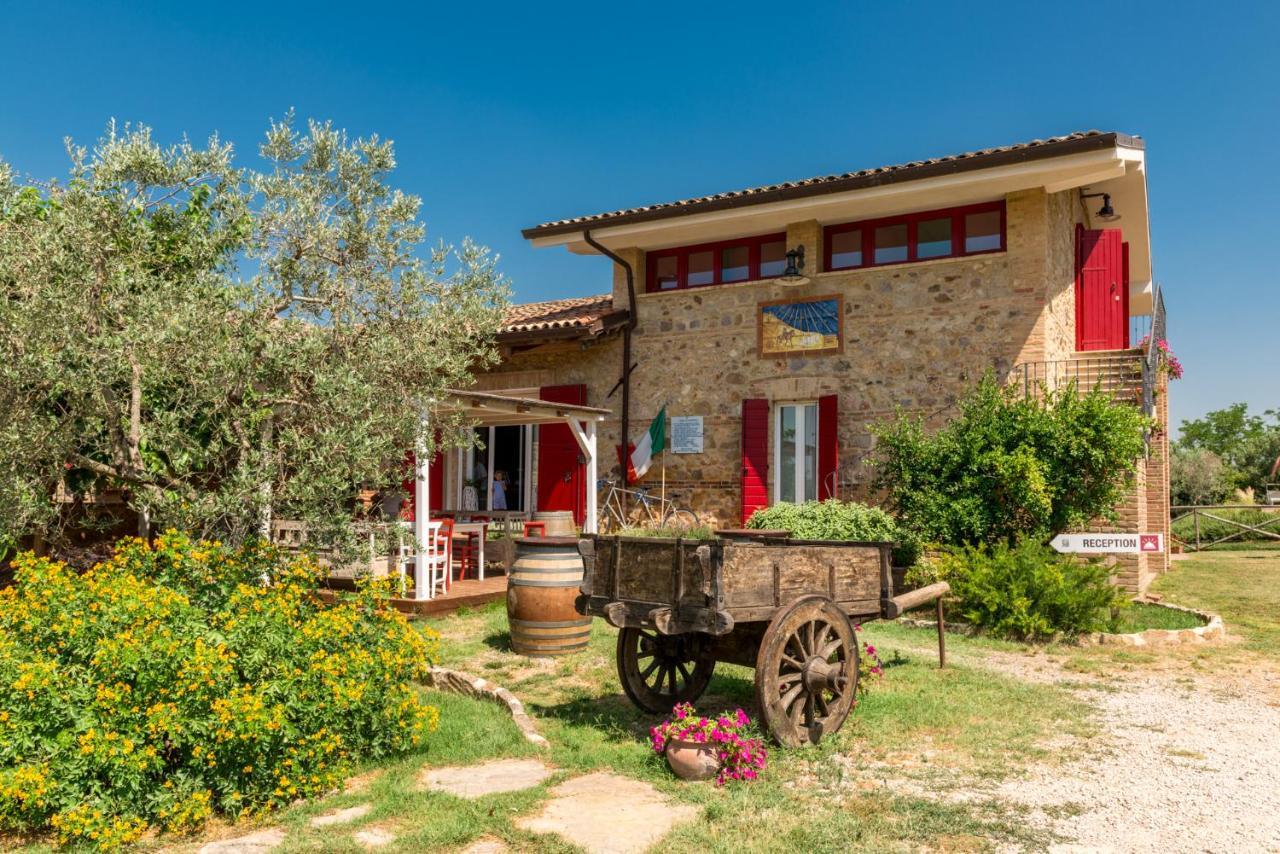 Bed and Breakfast Il Barbagianni Montepescali Экстерьер фото