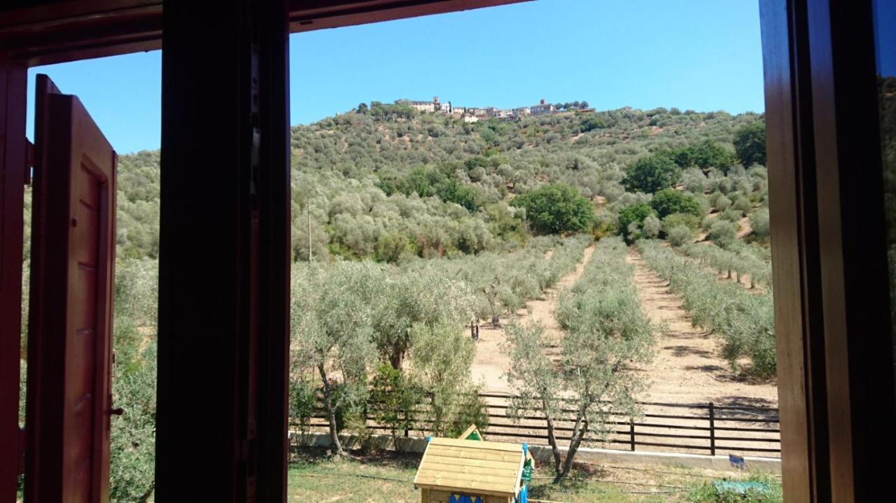 Bed and Breakfast Il Barbagianni Montepescali Экстерьер фото