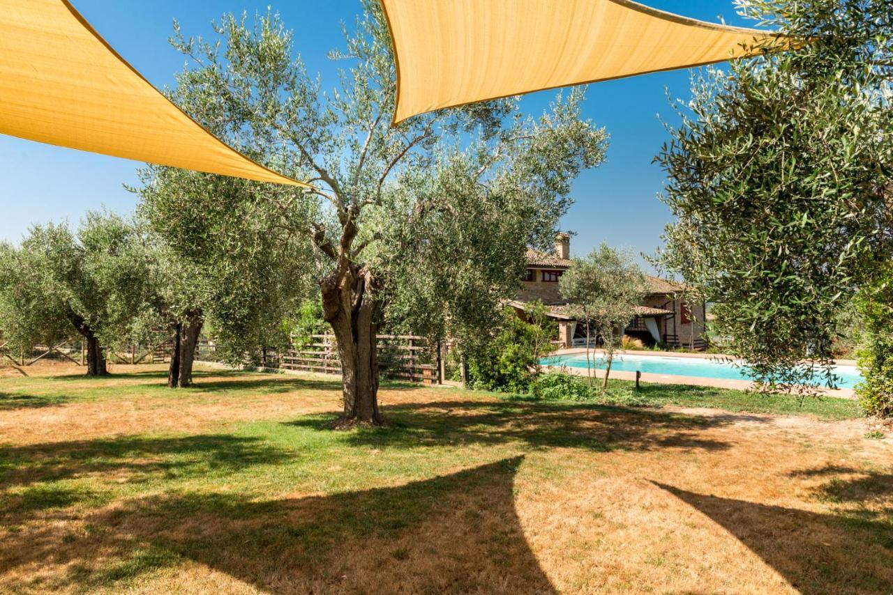 Bed and Breakfast Il Barbagianni Montepescali Экстерьер фото