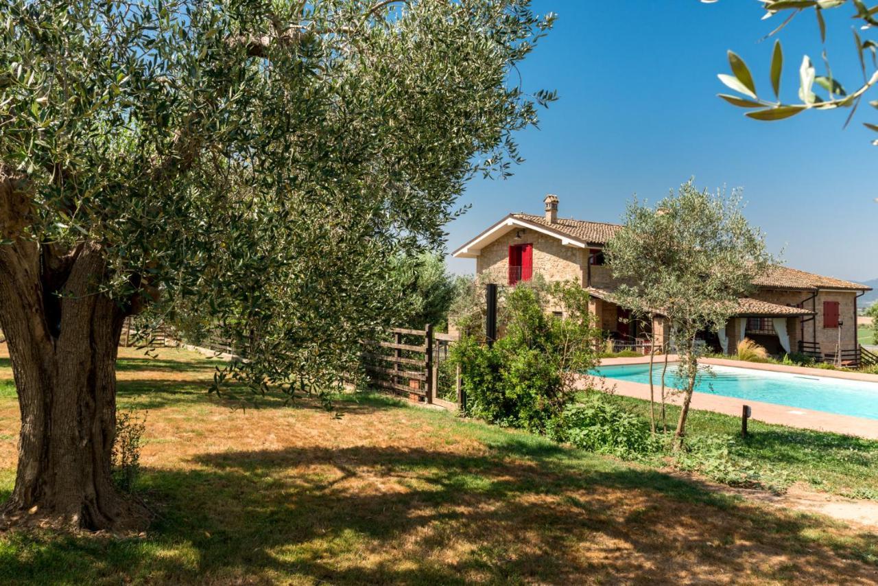 Bed and Breakfast Il Barbagianni Montepescali Экстерьер фото