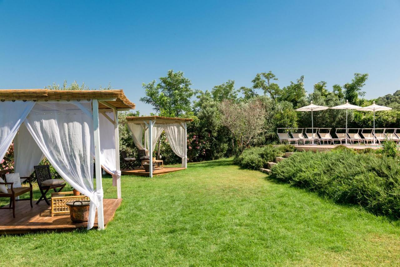 Bed and Breakfast Il Barbagianni Montepescali Экстерьер фото